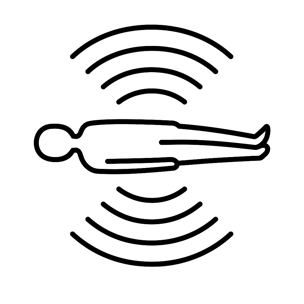 Vibroacoustic Experience Icon