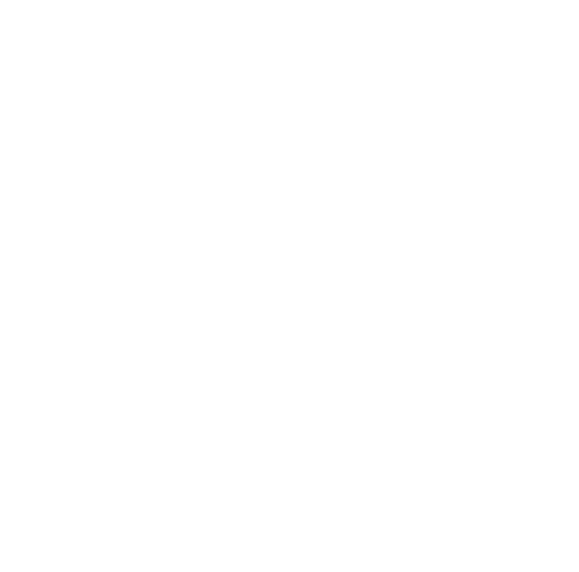 VCamp Logo